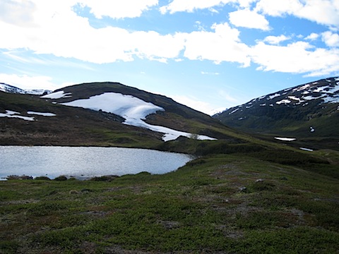 Abisko Juni 2009 dag 4 - 37.jpg